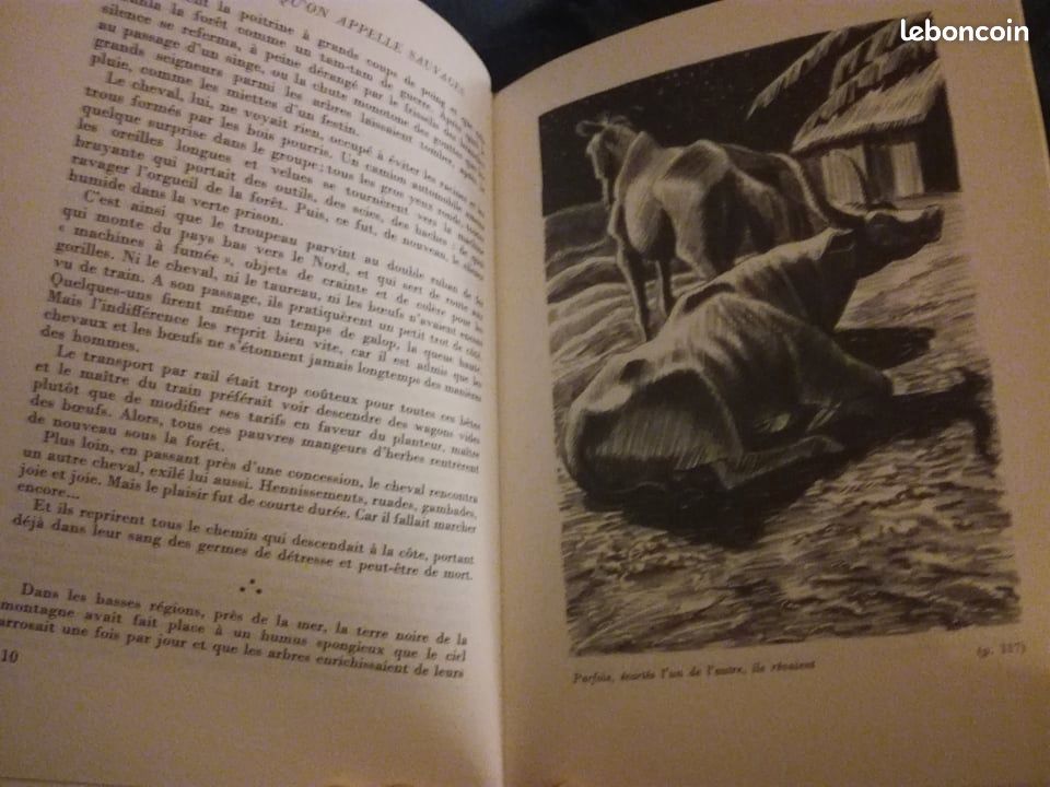 Les bêtes qu'on appelle sauvages (image 2)