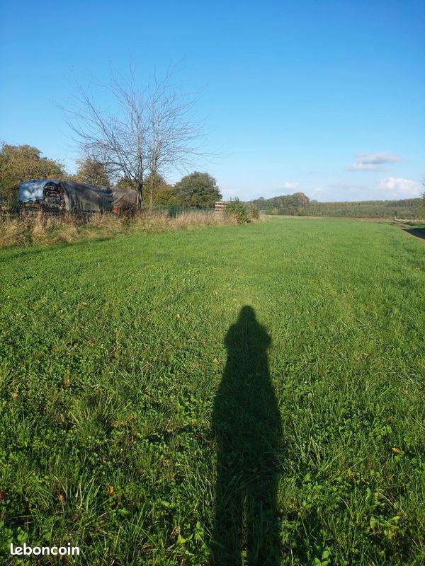 Terrain 1594 m² · à Beaumont-en-Beine · 1 594 m² · 31 000 €