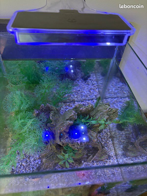 Aquarium Zolux (image 2)