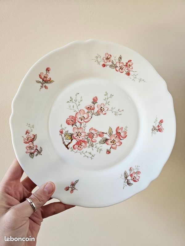 Lot De 12 Petites Assiettes Arcopal Vintage France - Décor Floral - Diamètre 20 Cm - Très Bon état