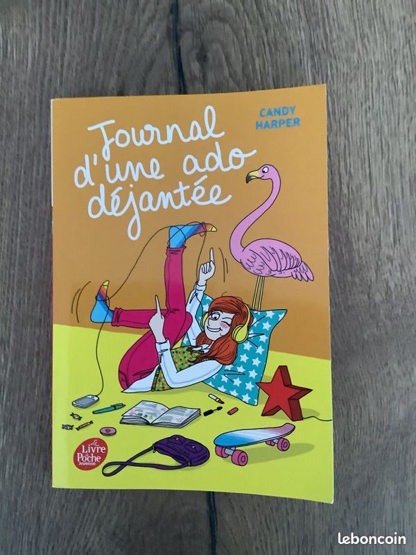 Livre « Journal d une ado déjantée » (image 1)