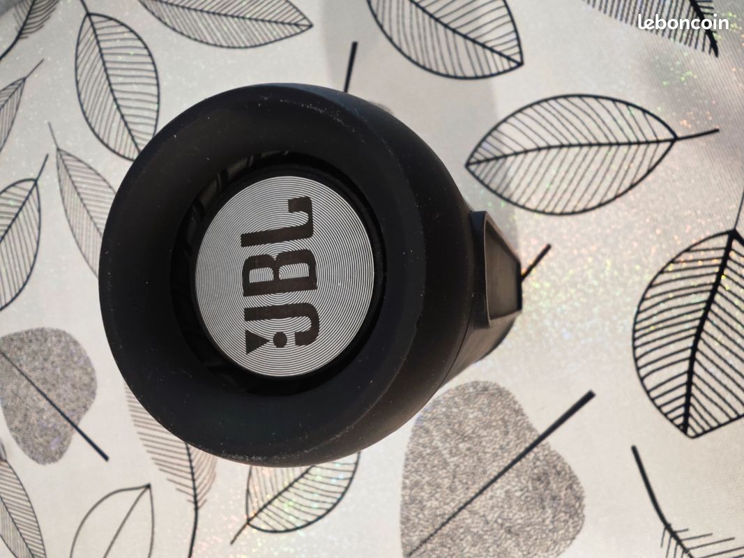 Enceinte portable bluetooth (image 3)