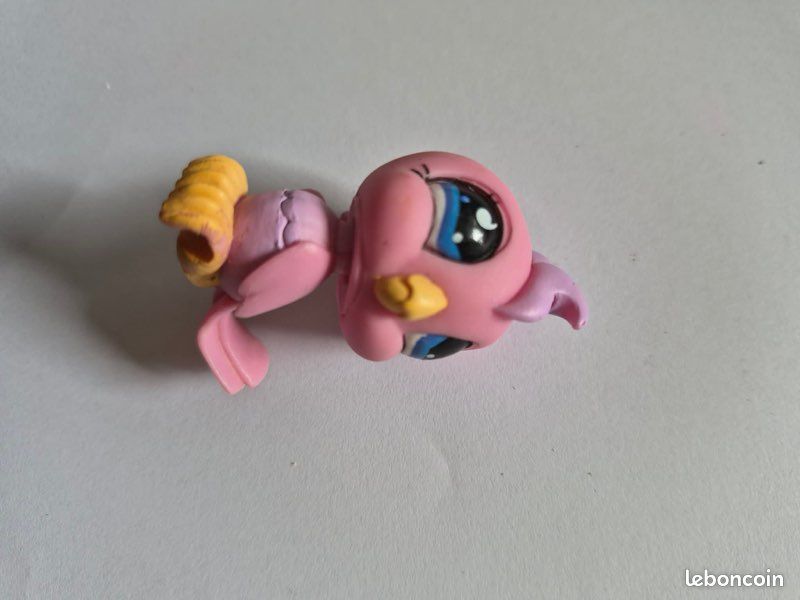 Lot 16 pet shop (image 14)