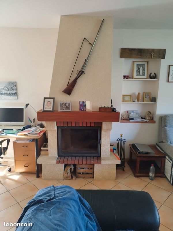 Cheminée insert (image 2)