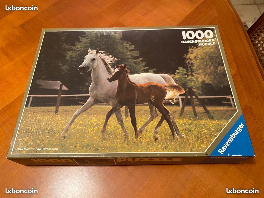 Puzzle RAVENSBURGER 1000 pièces (image 1)