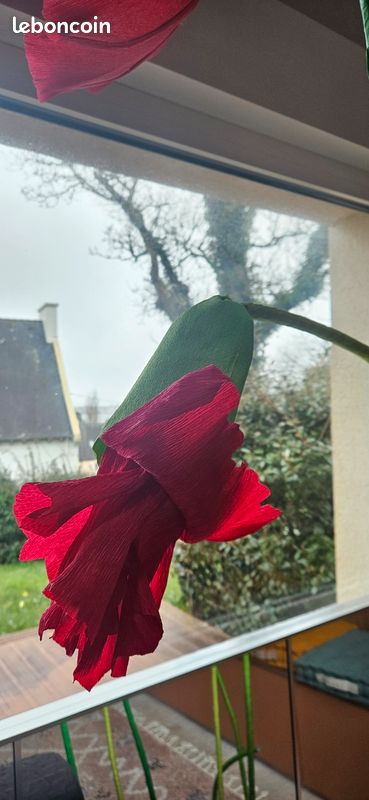 Fleurs géantes XXL (image 5)