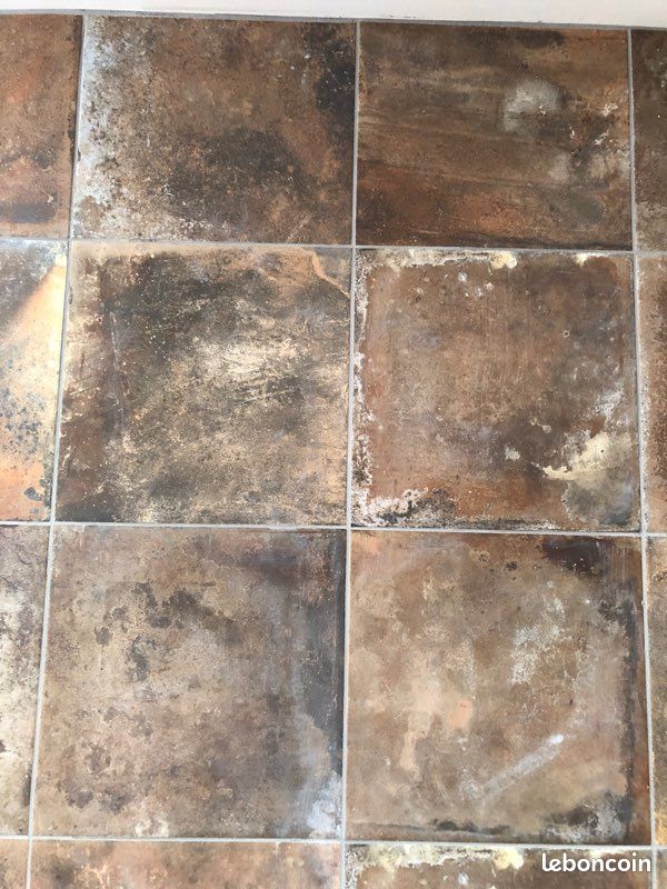 Carrelages (image 2)