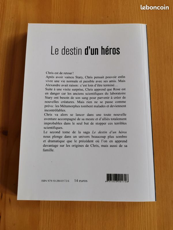 Le destin d'un héros de Mélanie Kraus (image 3)