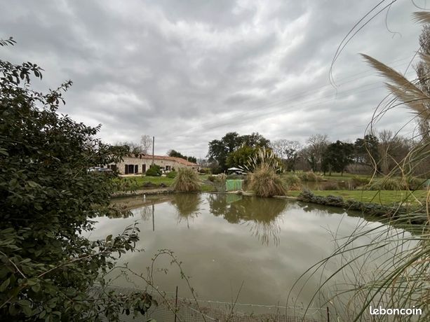 Propriété 5 pièces 278 m²