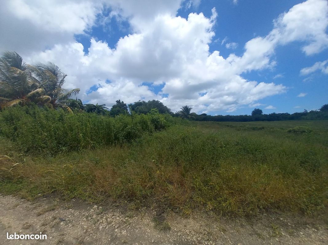 Terrain 1106 m² · à Saint-François · 1 106 m² · 135 000 €