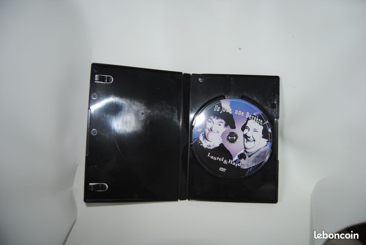 Laurel et Hardy : un jour, une bergère (image 2)