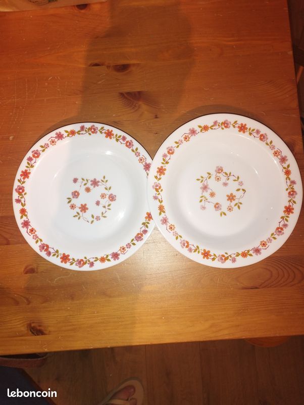 Lot Arcopal Vintage - Grand Plat Et 5 Assiettes Dessert Opaline, Motif Fleur Orange