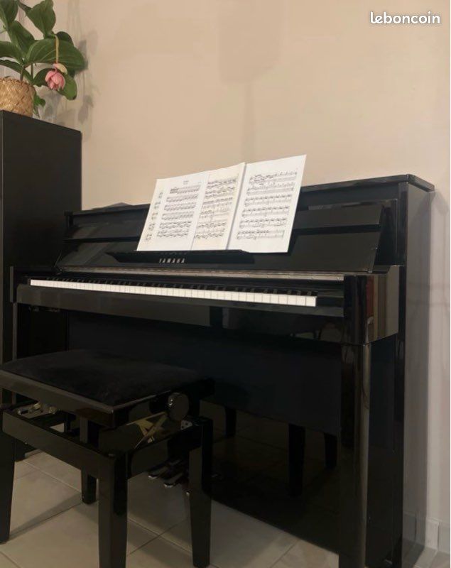 Cours de piano (image 1)