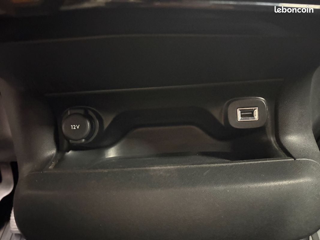 CITROEN C4 CACTUS PureTech 110 SS BVM6 Live (image 27)
