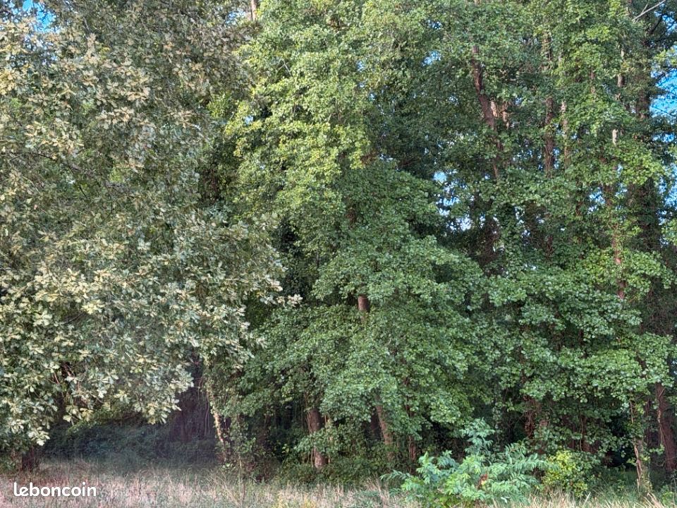Terrain 680 m² Audenge · 185 000 €