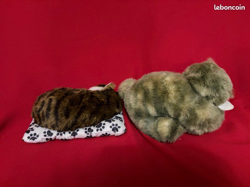 Chats (image 5)