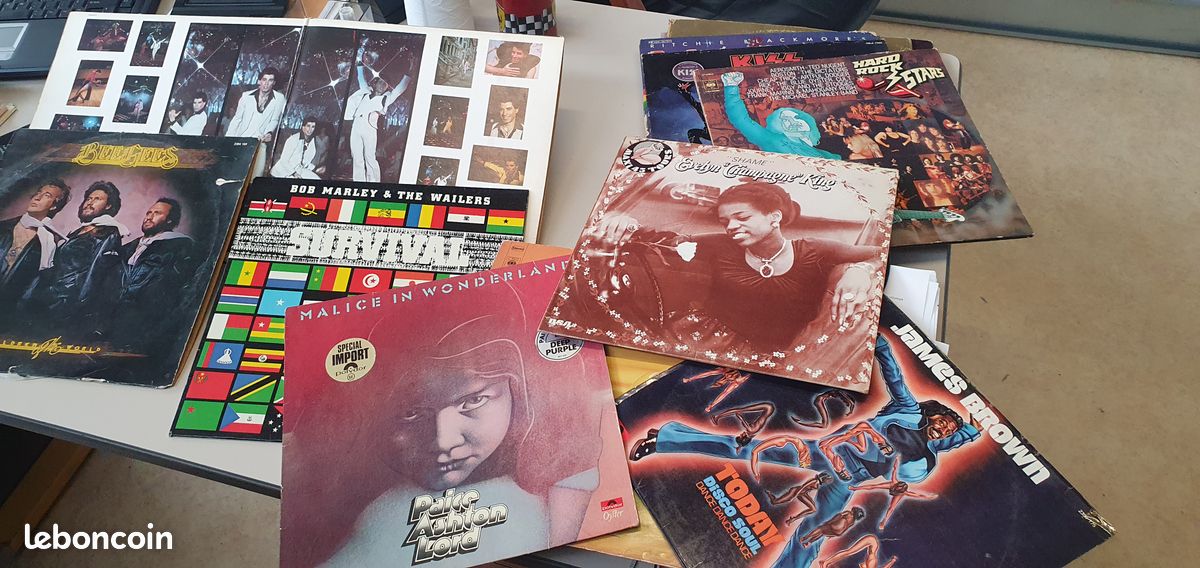 Disques 33 tours (image 1)