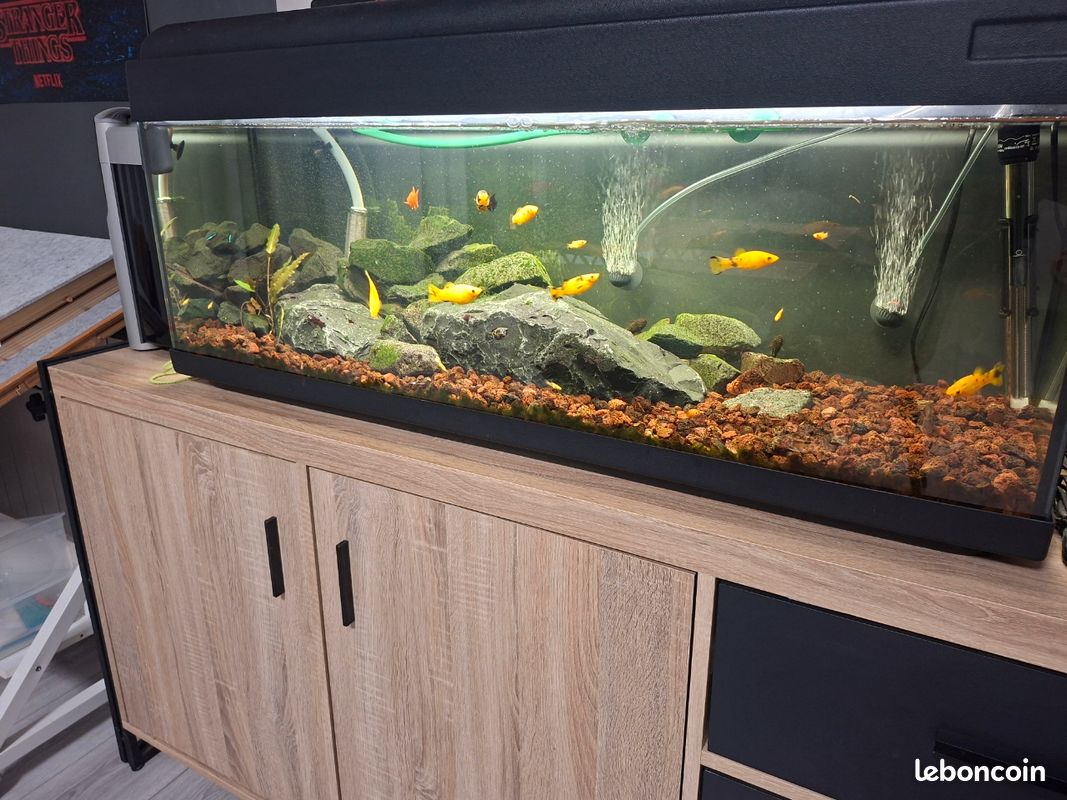 Aquarium complet 100l (image 1)