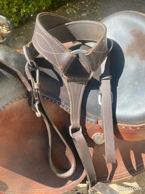 Coiffe Et Collier Poitrine En Cuir Véritable Pour Cheval – Style Western Fait Main