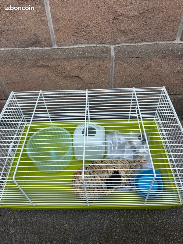 Cage rongeur (image 2)