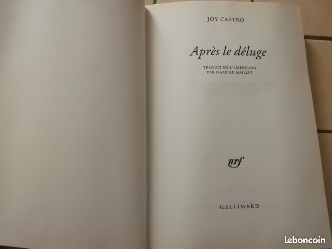 Après le déluge (image 4)