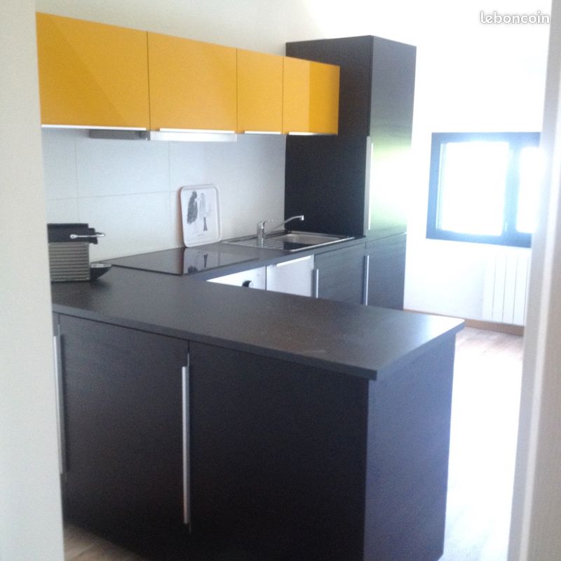 Appartement a louer olivet - 2 pièce(s) - 37 m2 - Surfyn