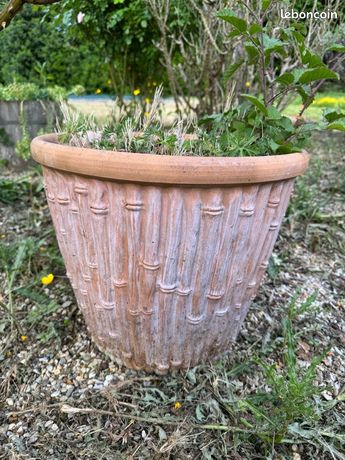 Amphore d'occasion - Jardin & Plantes