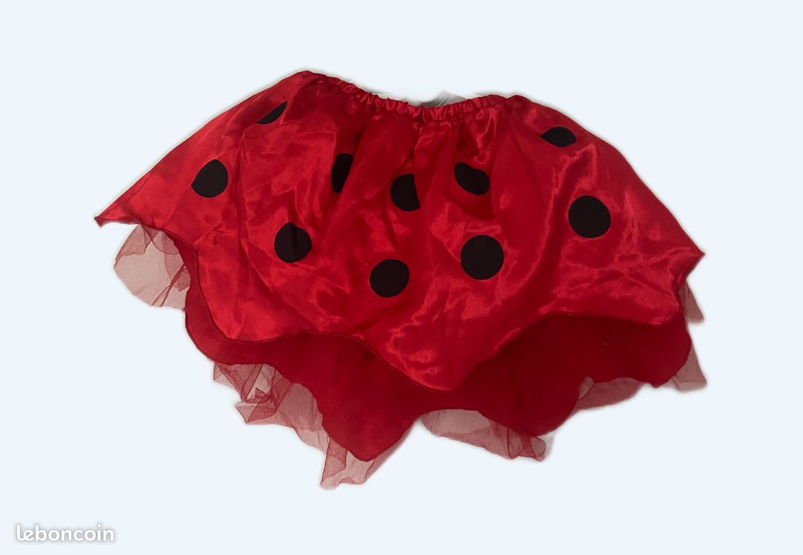 Déguisement coccinelle (image 1)