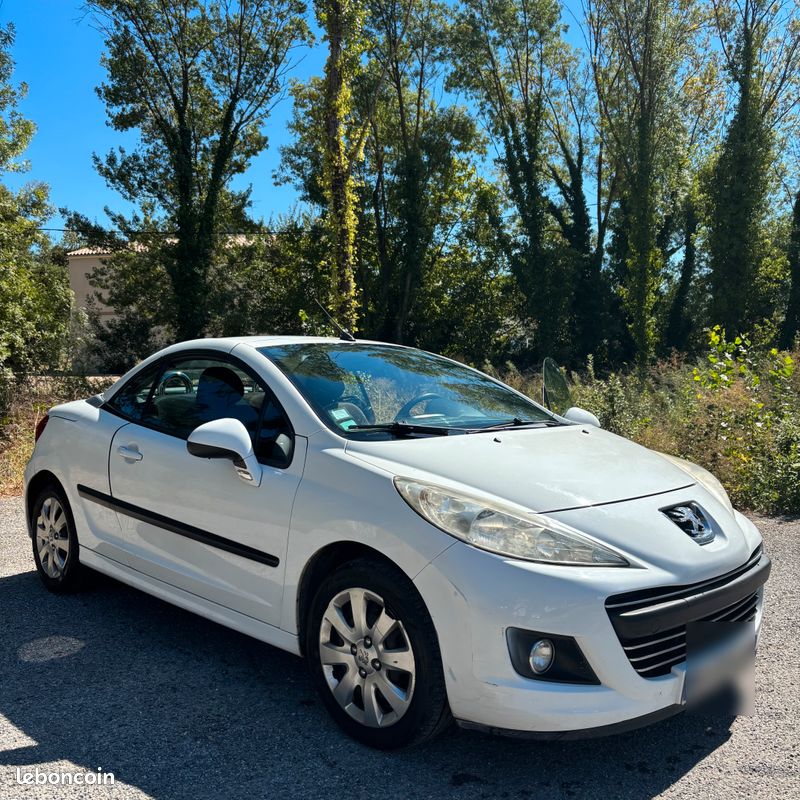 207cc (image 1)