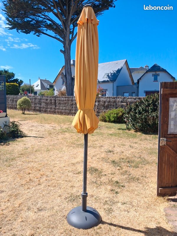 Parasol (image 5)