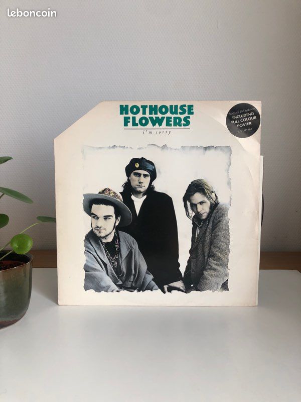 Hothouse Flowers - I’m Sorry - vinyle (image 1)