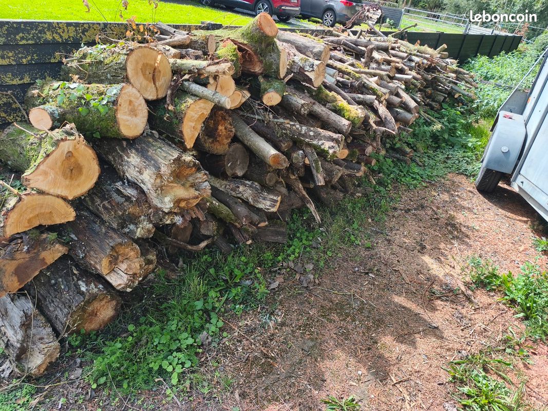Stère de bois (image 1)