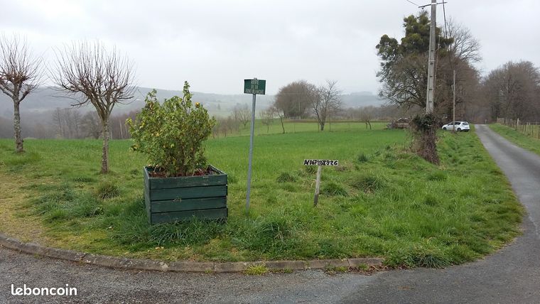 Terrain de culture