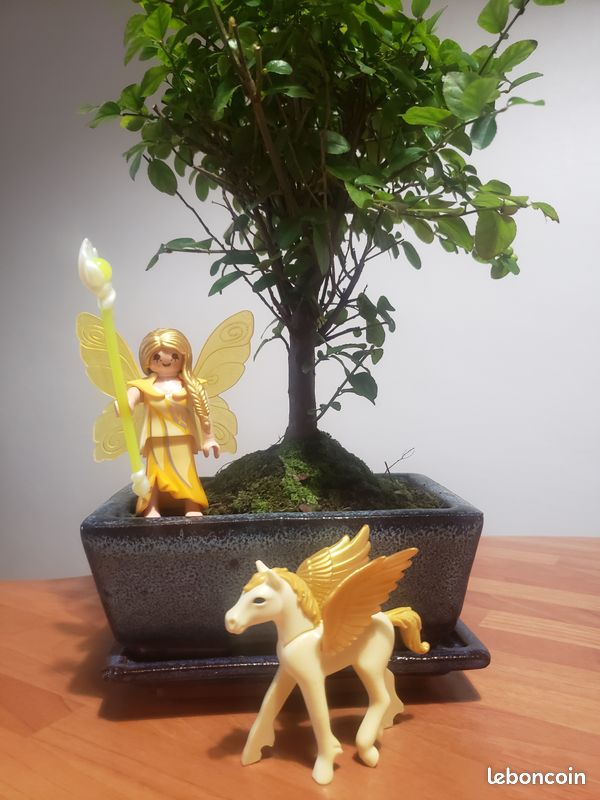 Playmobil - Fée + pégase (image 1)