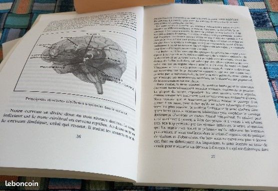 La biologie de l’amour (image 6)