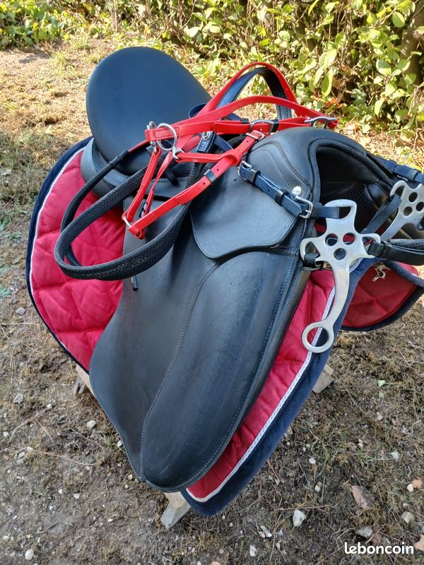 Selle de cheval wintec (image 1)