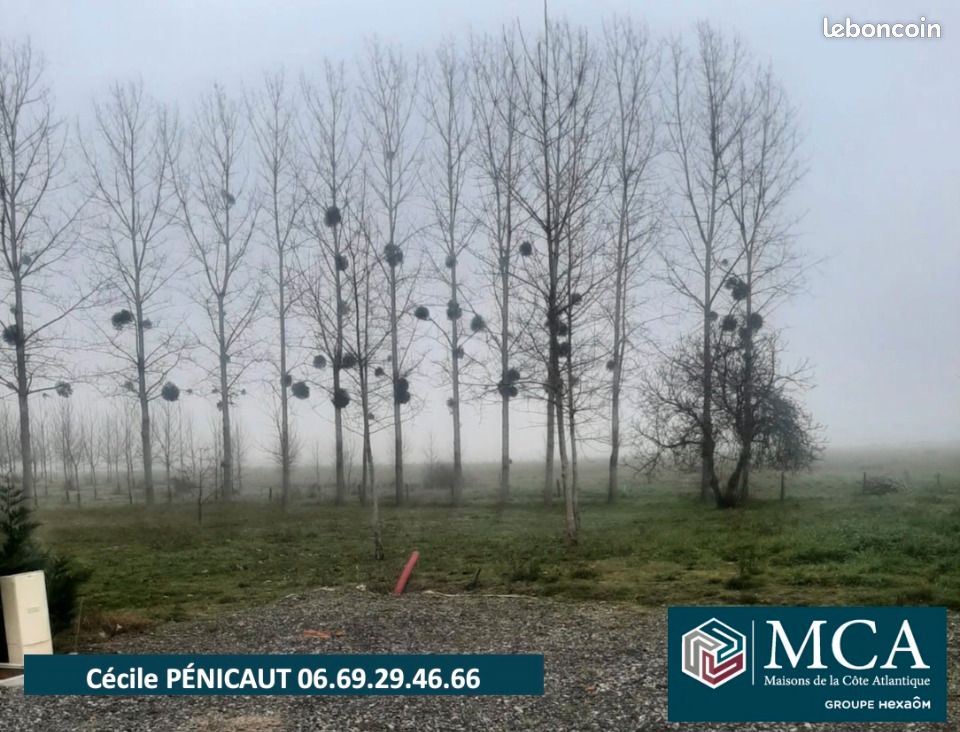 Maison 3 pièces 65 m² - Goos 40180 (image principale 9)