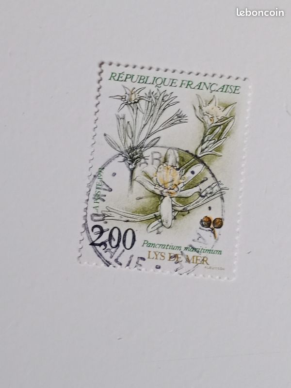 Timbre france oblitéré 2,00 yvert N°2766 flore fleur végétal lys de mer pancratium maritimum de 1992 (image 1)