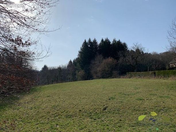 Terrain 3 961 m² Affieux