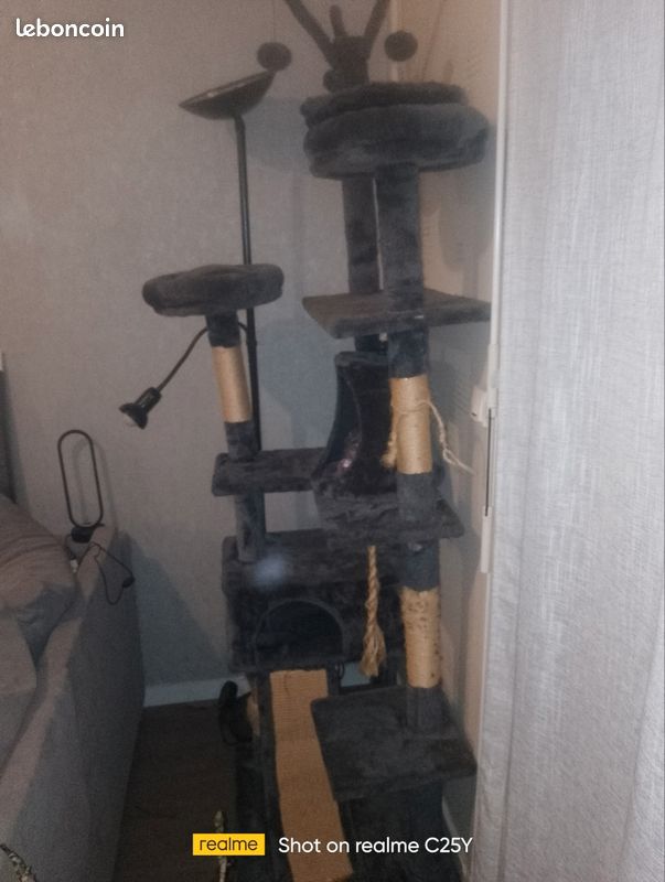 Arbre à chat (image 1)