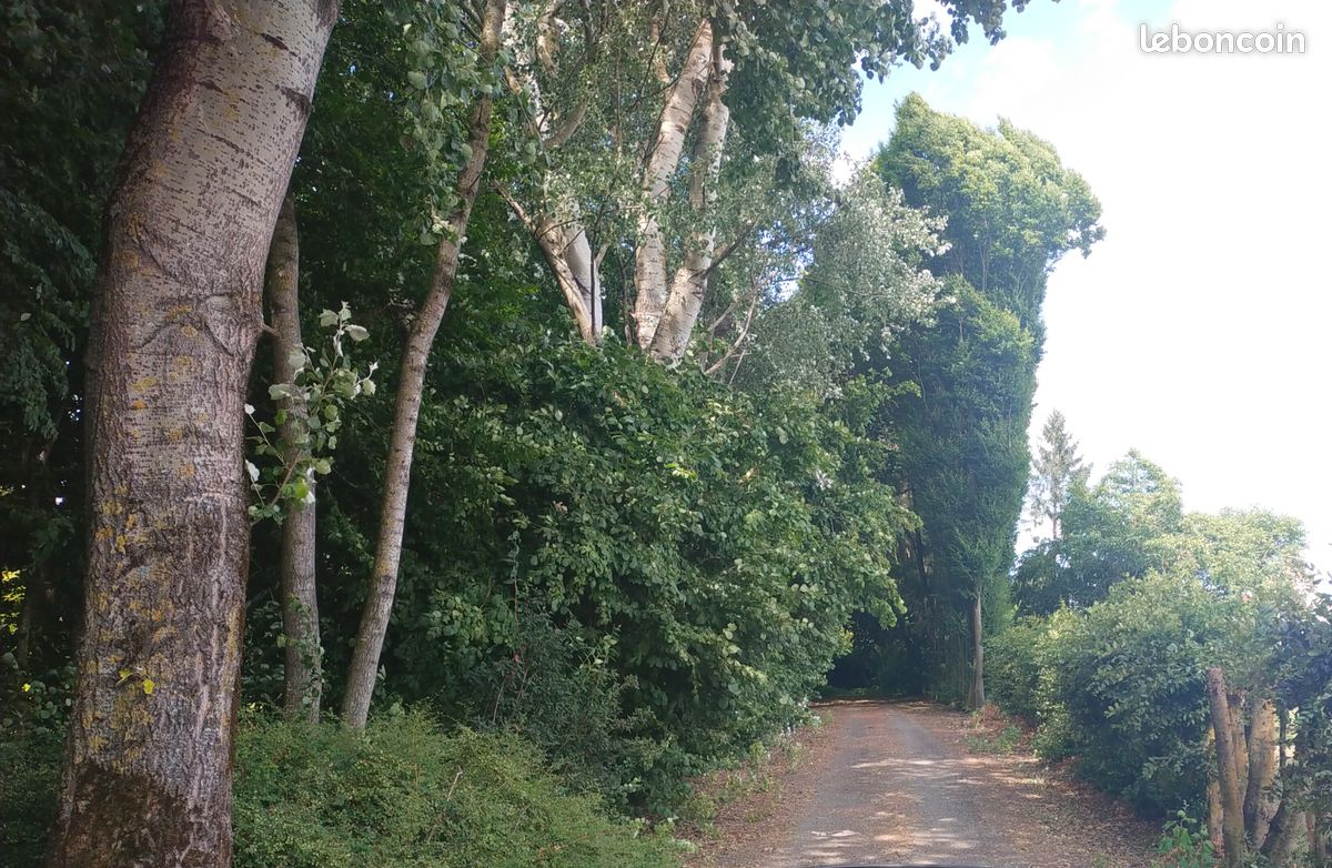 Terrain constructible viabilisé 1839m2 Sailly Lez Lannoy · à Sailly-lez-Lannoy · 398 000 €