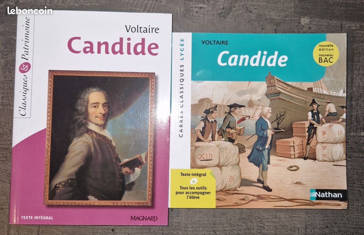 Bac francais - candide voltaire (image 1)