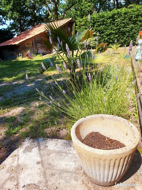 Pots de fleur vintage en pierre reconstituée (image 1)