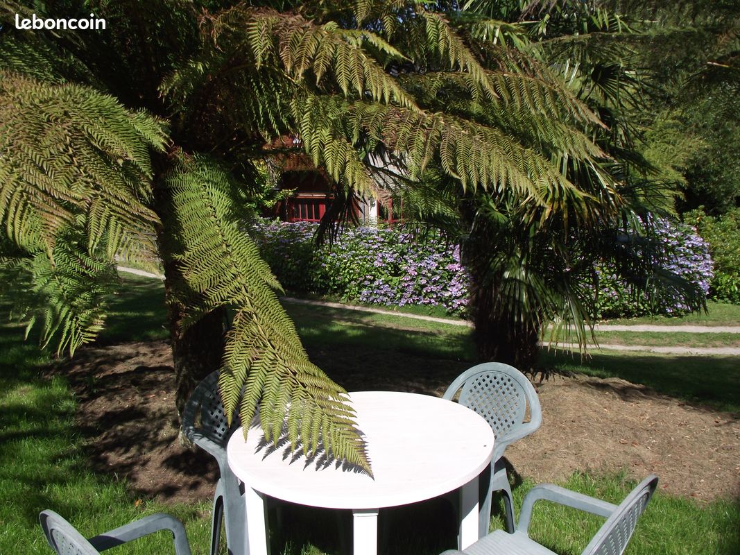 Dans grand parc ANCV (image 9)
