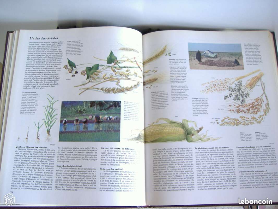 Livres : grand quid illustre (image 2)