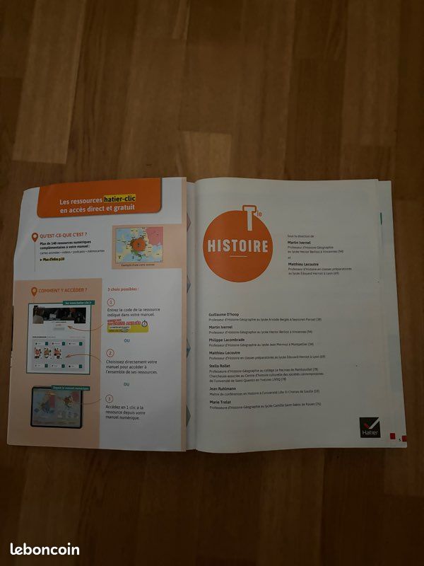 Manuels St Martin terminale (image 8)