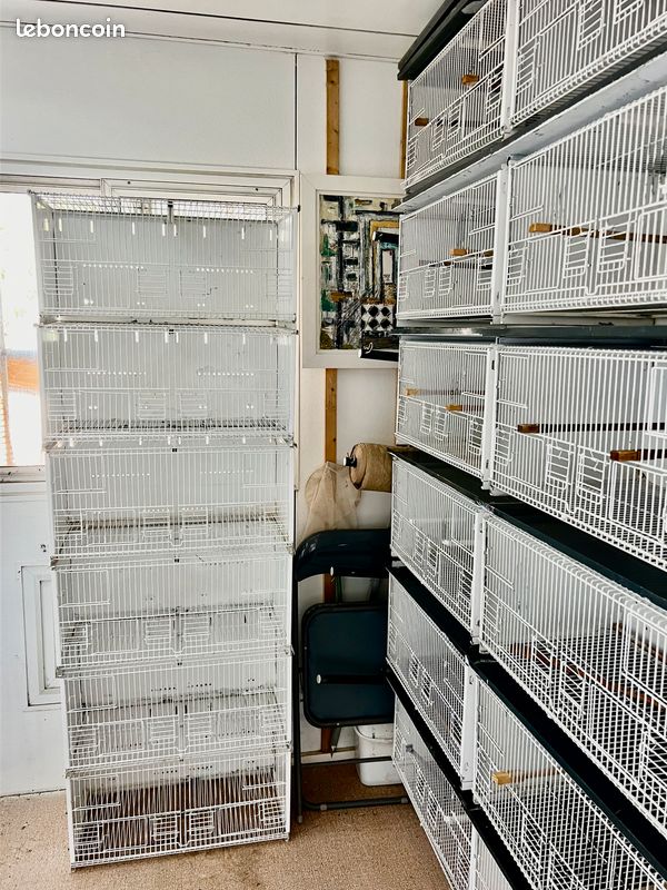 Batterie cage oi (image 1)