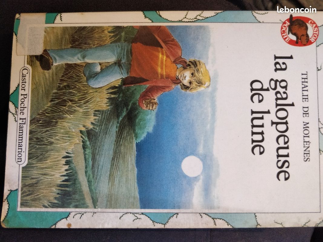 Livre jeunesse (image 2)