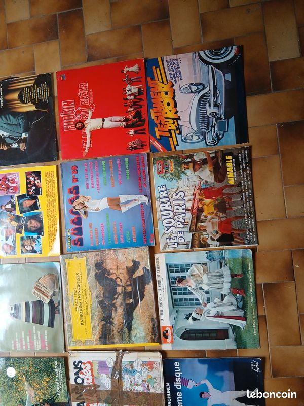 Lot de ~32 Vinyles 33 tours (Prince, Cloclo, Rock, Accordéon, Classique...) ou à l'unité (image 5)