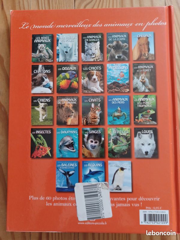 Les manchots (image 2)